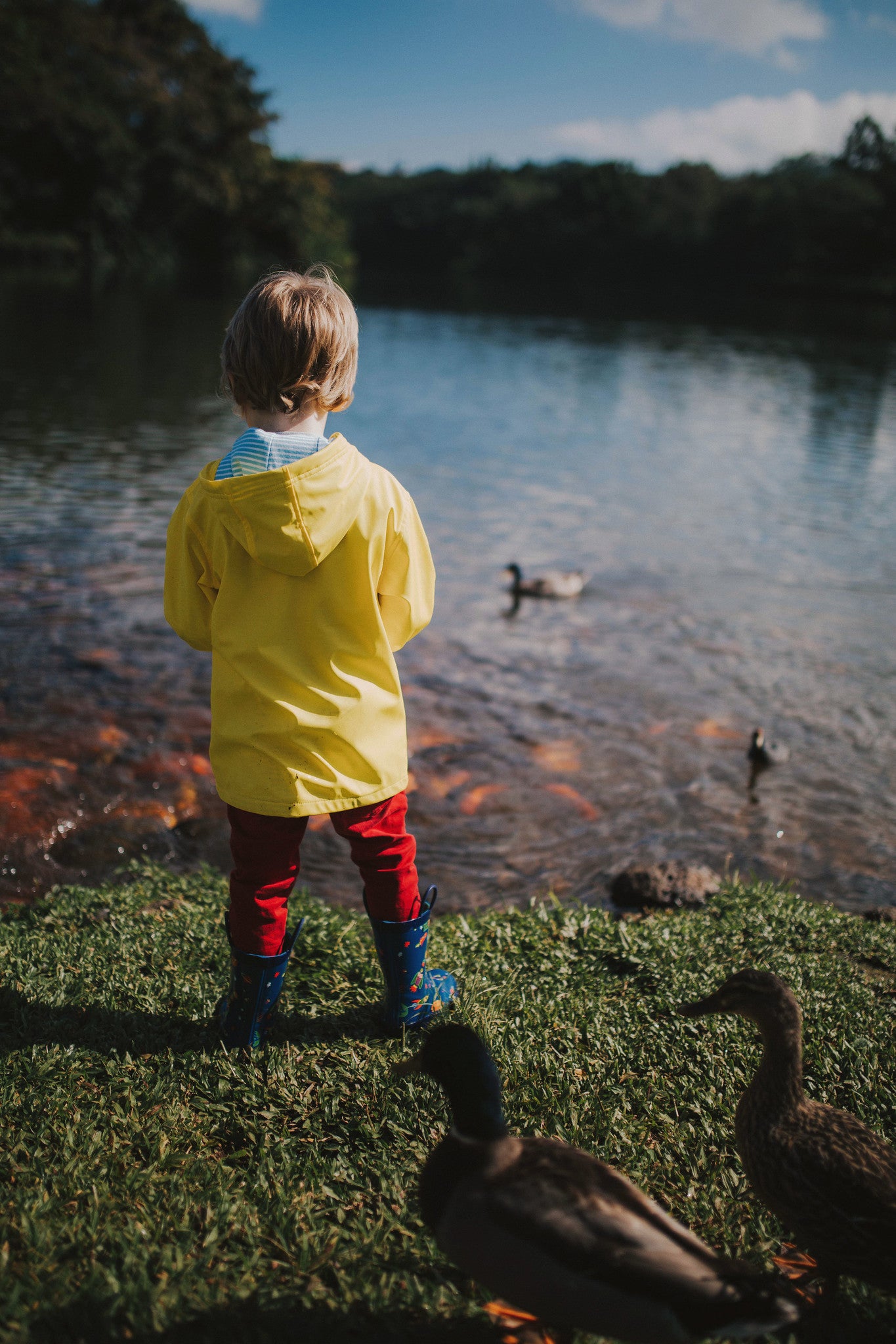 Pluie Pluie Boys Solid Yellow Rain Coat