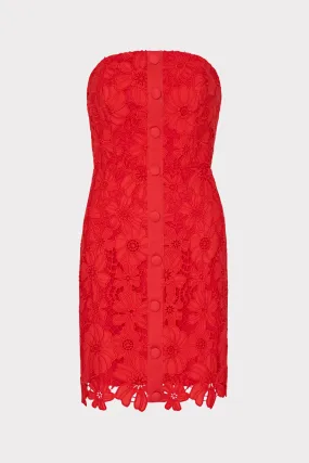 Roja Lace Mini Dress